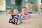 Fisher-price, Prop'N'Go Portable Mirror, pandantiv, jucarie pentru bebelusi