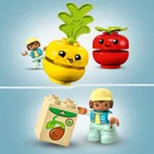 LEGO DUPLO, Primul meu tractor cu fructe si legume, 10982
