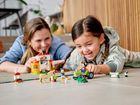 LEGO Mickey and Friends, Ferma lui Mickey Mouse si Donald Duck, 10775