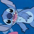 Lilo si Stitch, cutie pentru pranz XL cu compartimente
