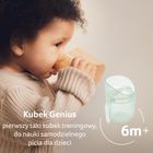 Lovi, Genius, cana de antrenament, 150 ml, Pistachio