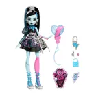 Monster High, Scary Sweet Birthday, Frankie Stein, papusa cu accesorii