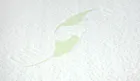 Sensillo, Luxe Aloe Vera, Perna tip pana pentru patut, 38-60 cm