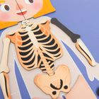 Smiki, Anatomia umana, joc de potrivire magnetic