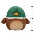 Squishmallows, Fuzzamallows, Avery, Mallard Duck, jucarie de plus, 30 cm