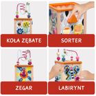 Topbright, Cub educational pentru bebelusi, 12 luni
