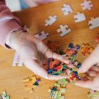 Trefl, EasyPiece, Insects in the Meadow, puzzle, 300 piese