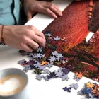 Trefl, Premium Plus, Photo Odyssey, Spirit Island, Canada, puzzle, 1000 piese