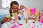 Barbie, Groom 'n Care, set cu papusa si accesorii