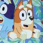 Bluey, set: cutie pentru pranz + sticla de apa