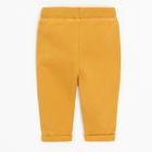 Cool Club, Set pentru baieti, Vesta, Bluza cu maneca lunga, Pantaloni trening, mix, imprimeu Tom & Jerry