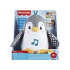 Fisher-Price, Flap & Wobble Penguin, jucarie pentru bebelusi