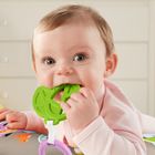Fisher-Price, Lenes muzical, perna cu vibratii, jucarie interactiva pentru bebelusi