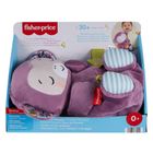 Fisher-Price, Purple Monkey, jucarie muzicala portabila din plus
