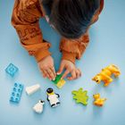 LEGO DUPLO, Familii de animale salbatice: Pinguini si lei, 10442