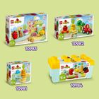 LEGO DUPLO, Prima mea gradina ecologica, 10984