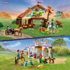 LEGO Friends, Dresaj pentru cai, 41746