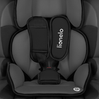Lionelo, Levi One, scaun auto, 9-36 kg, Sporty Black