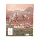 Miss Melody, Taylor Swift, jurnal cu cod, cu sunet