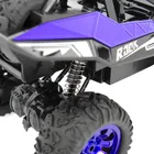 Race Xtreme, Rock Climber, monster truck, masinuta cu telecomanda