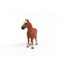Schleich, Farm World, Cal de bataie belgian, figurina, 13941