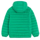 Cool Club, Geaca cu gluga pentru baieti, verde