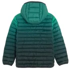 Cool Club, Geaca cu gluga pentru baieti, verde