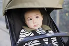 Graco, MyAvo, carucior sport, Clover