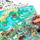 Kidea, Unde traiesc? Animale din Europa, autocolant + joc