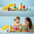 LEGO DUPLO, Prima mea gradina ecologica, 10984