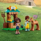 LEGO Friends, Casa lui Autumn, 41730