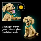 LEGO Icons, Catelus Golden Retriever, 11384