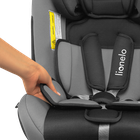 Lionelo, Sander, scaun auto, 0-36 kg, Grey