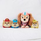 Paw Patrol, The Movie, Liberty & Junior Patrollers, set de mascote
