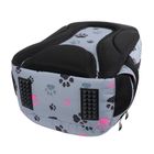 St.Right, rucsac cu 3 compartimente, Paws