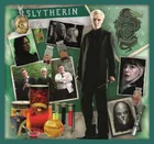 Trefl, Harry Potter, In lumea lui Harry Potter, puzzle 10in1, 329 piese