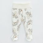 Cool Club, Set pentru bebelusi, Caciula, Esarfa, Pijama tip salopeta, Body cu maneca lunga, Bluza cu capse, Pantaloni cu botosei, ecru, imprimeu Dumbo