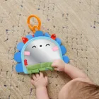 Fisher-price, Prop'N'Go Portable Mirror, pandantiv, jucarie pentru bebelusi