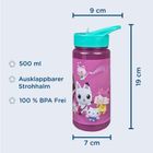 Gabby's Dollhouse, sticla de apa Aero, 500 ml
