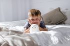 InnoGIO, GIOpenguin, veioza din silicon, Pinguin
