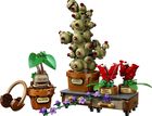 LEGO Harry Potter, Plante pentru ora de ierbologie de la Hogwarts, 76474
