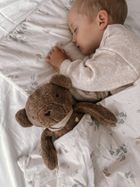 MyHummy (Szumisie), Ursulet 5 in 1 cu lampa, 36 cm, maro