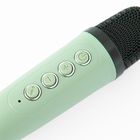 Smiki, Set de karaoke, boxa bluetooth cu microfoane, wireless