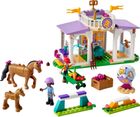 LEGO Friends, Dresaj pentru cai, 41746