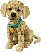 LEGO Icons, Catelus Golden Retriever, 11384