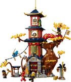 LEGO NINJAGO, Nucleele energetice din Templul Dragonului, 71795