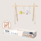 Lionelo, Anis, stand educativ din lemn, Baby Gym