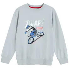 Cool Club, Bluza cu maneca lunga pentru baieti, gri