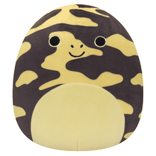 Squishmallows, Salamandra, jucarie de plus, 19 cm