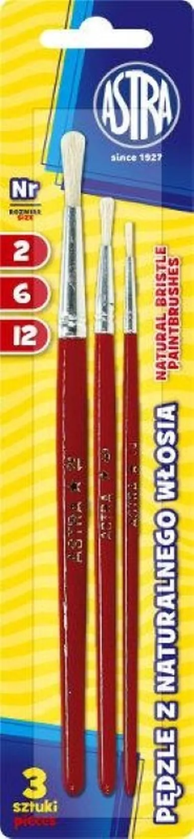 Astra, set de pensule, marime 2/6/12, 3 buc.